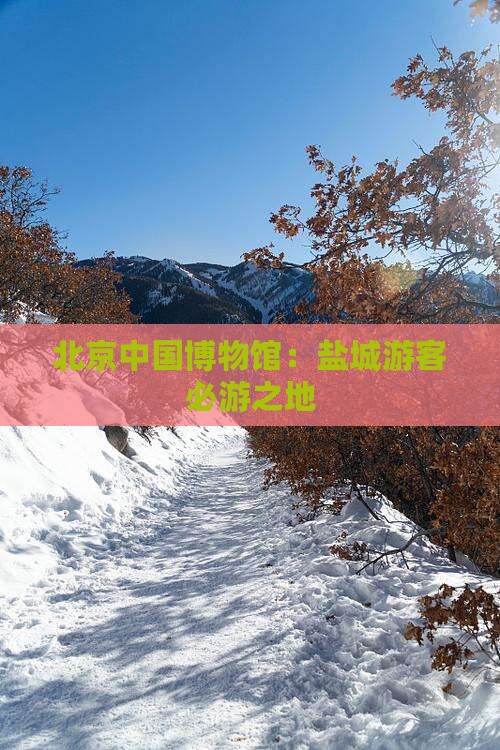 北京中国博物馆：盐城游客必游之地