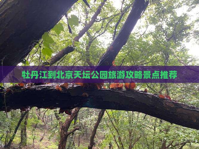 牡丹江到北京天坛公园旅游攻略景点推荐