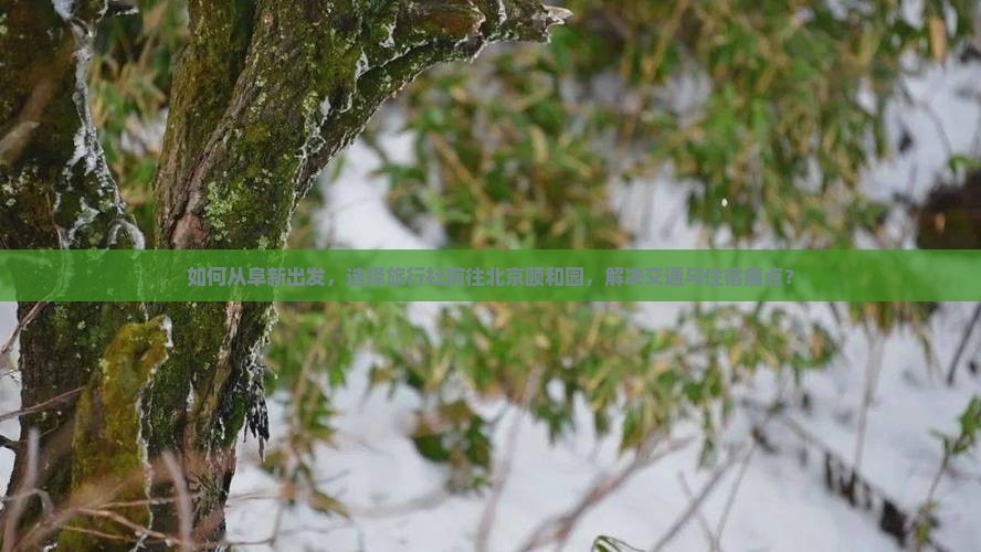 如何从阜新出发，选择旅行社前往北京颐和园，解决交通与住宿痛点？
