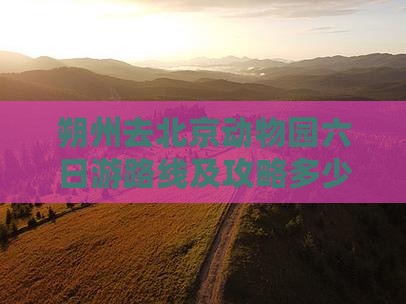 朔州去北京动物园六日游路线及攻略多少钱
