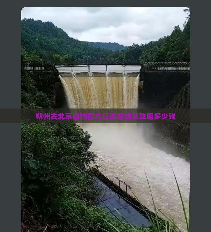 朔州去北京动物园六日游路线及攻略多少钱