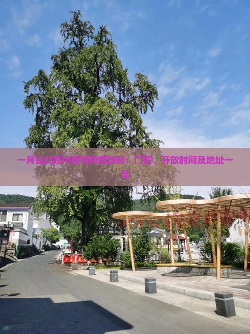 一月去北京中国博物馆攻略：门票、开放时间及地址一览