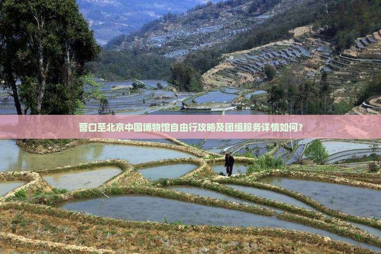 营口至北京中国博物馆自由行攻略及团组服务详情如何？