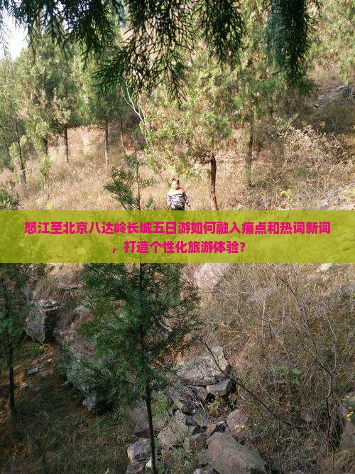怒江至北京八达岭长城五日游如何融入痛点和热词新词，打造个性化旅游体验？