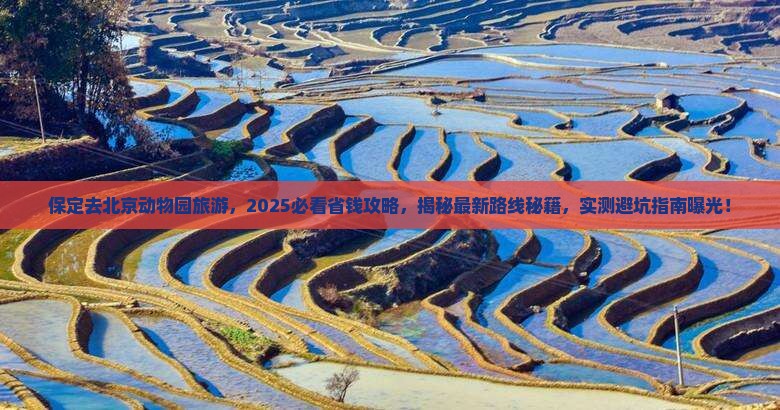 保定去北京动物园旅游