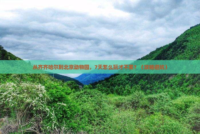 齐齐哈尔去北京动物园七日游