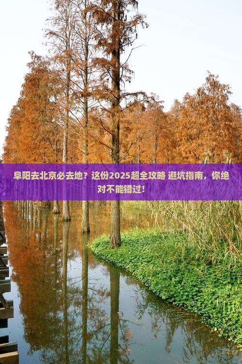 阜阳去北京必去地