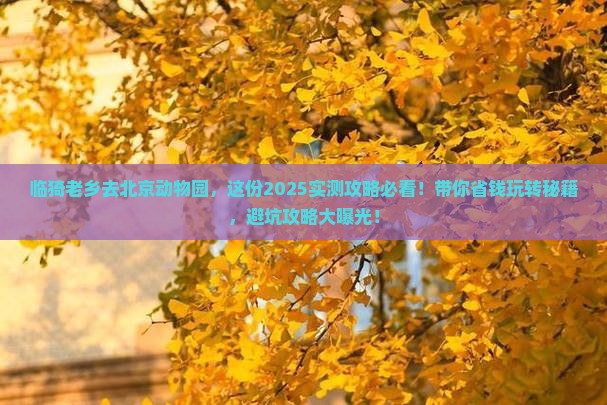 临猗去北京动物园哪里玩