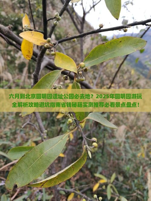 六月到北京圆明园遗址公园必去地