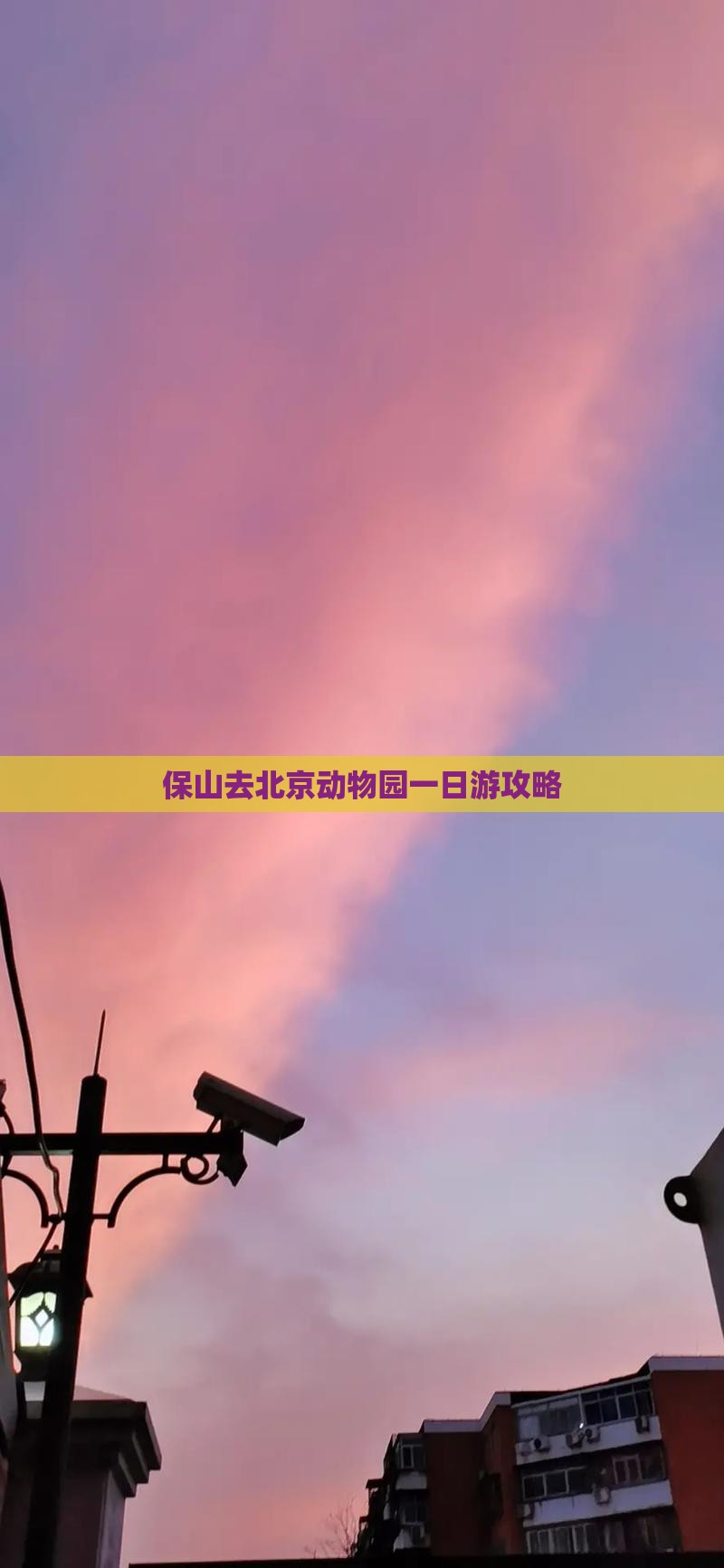 保山去北京动物园一日游