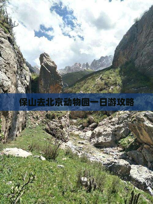 保山去北京动物园一日游