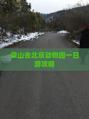 保山去北京动物园一日游