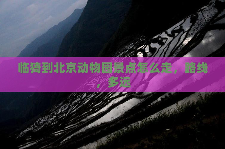 临猗到北京动物园景点