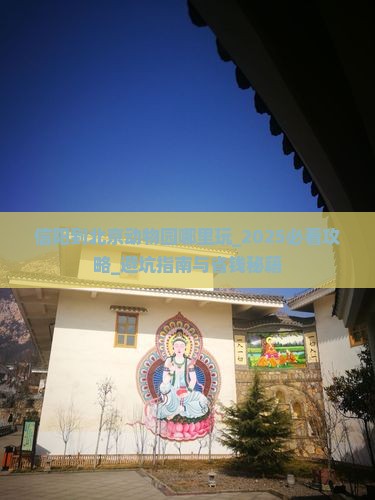 信阳到北京动物园哪里玩 信阳到北京动物园哪里玩