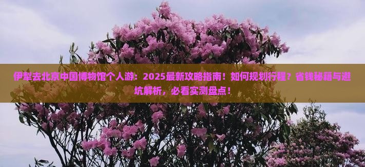 伊犁去北京中国国家博物馆个人游