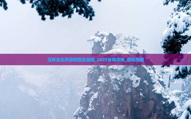 玉林去北京动物园自由团