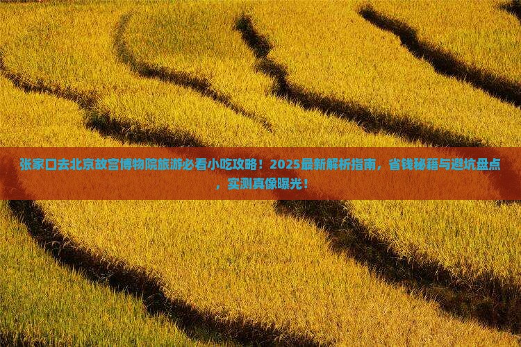 张家口去北京故宫博物院旅游小吃