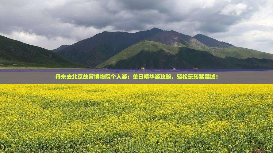 丹东去北京故宫博物院个人游