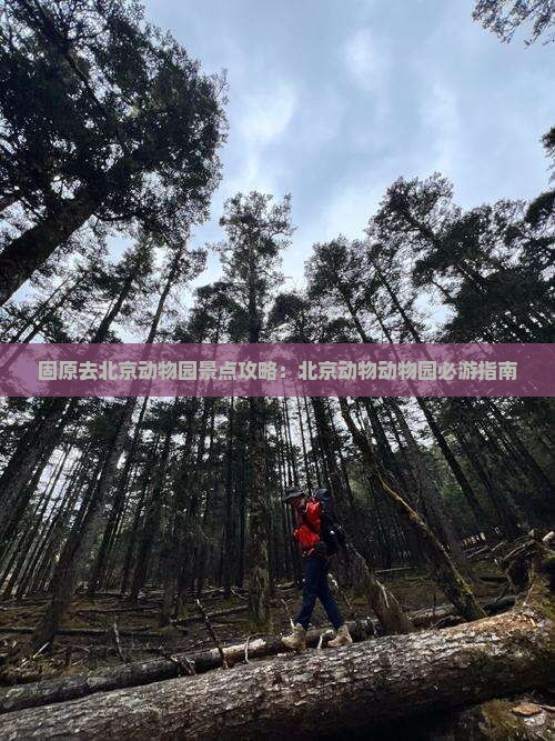 固原去北京动物园景点