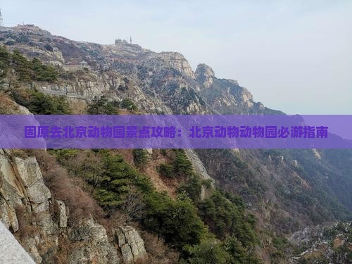 固原去北京动物园景点