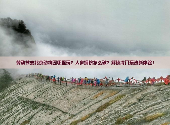 劳动节去北京动物园哪里玩