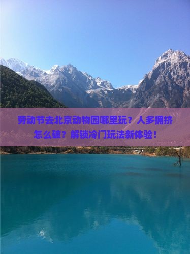 劳动节去北京动物园哪里玩