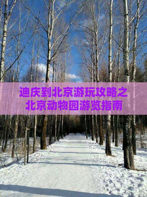 迪庆去北京动物园攻略