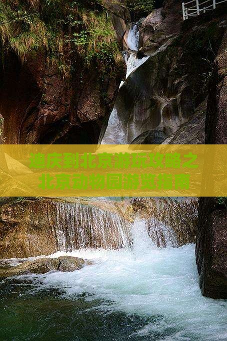迪庆去北京动物园攻略
