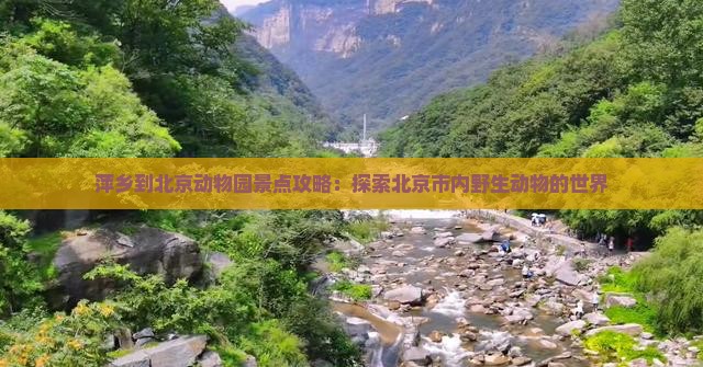 萍乡到北京动物园景点