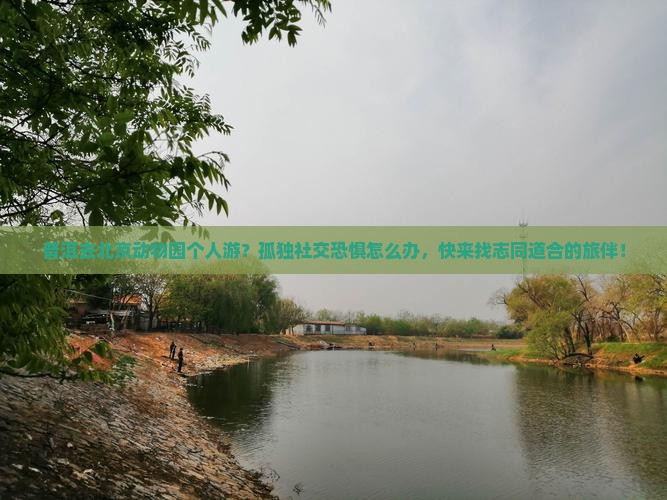 普洱去北京动物园个人游