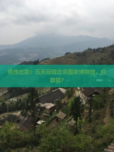 焦作到北京中国国家博物馆五日游