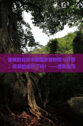 诸城到北京中国国家博物馆七日游