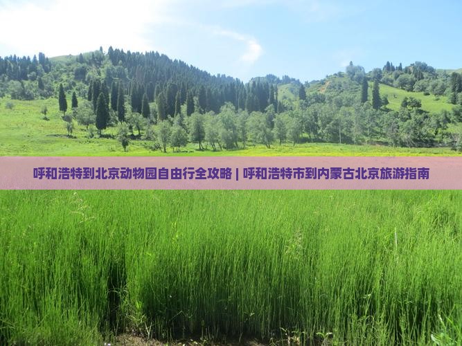 呼和浩特到北京动物园自由团