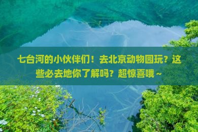 七台河去北京动物园必去地