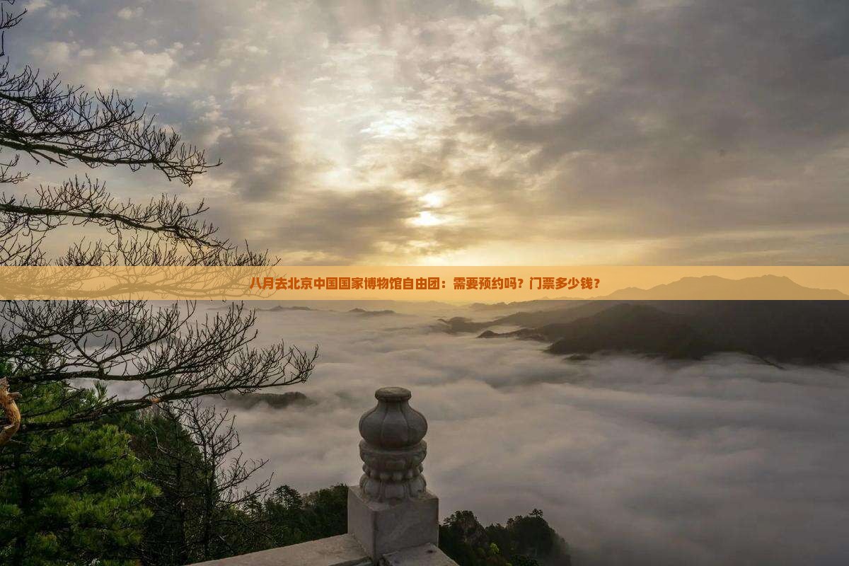 八月去北京中国国家博物馆自由团