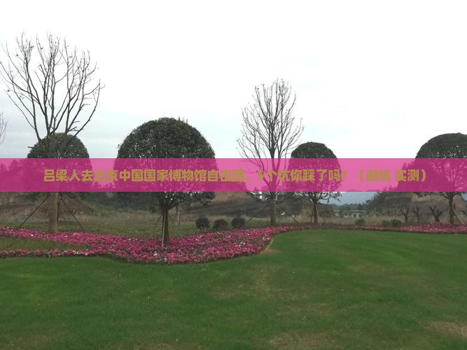 吕梁去北京中国国家博物馆自由团