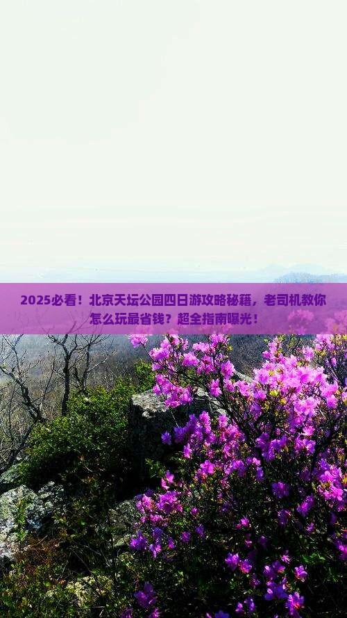 八月去北京天坛公园四日游