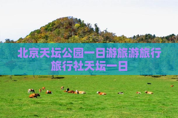 红河去北京天坛公园旅行社