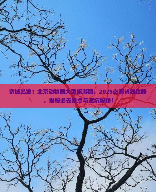 诸城到北京动物园大型旅游团
