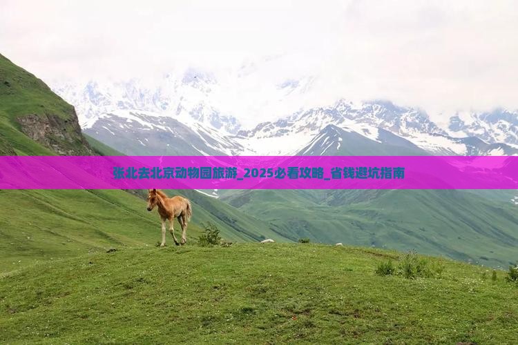 张北去北京动物园旅游