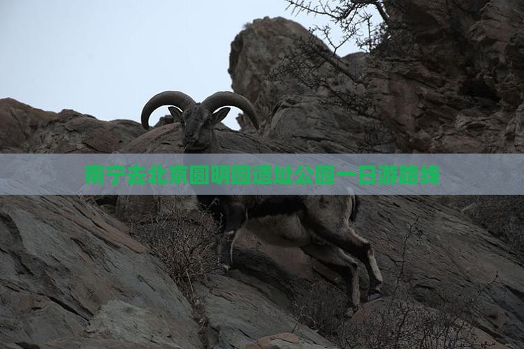南宁去北京圆明园遗址公园一日游