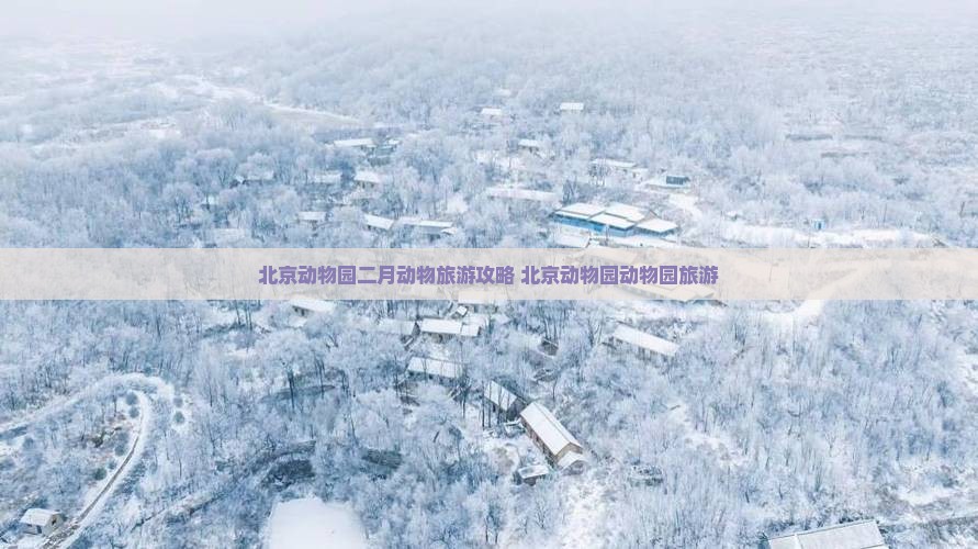 二月到北京动物园个人游