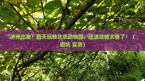泸州到北京动物园四日游