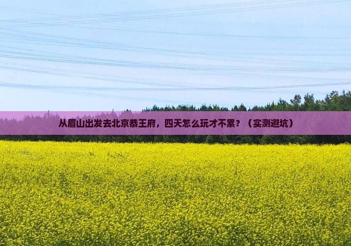 眉山到北京恭王府四日游