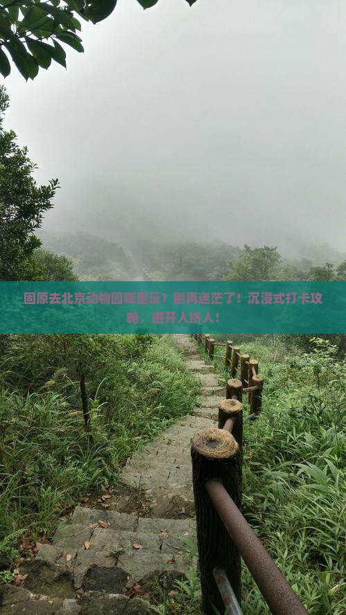 固原去北京动物园哪里玩