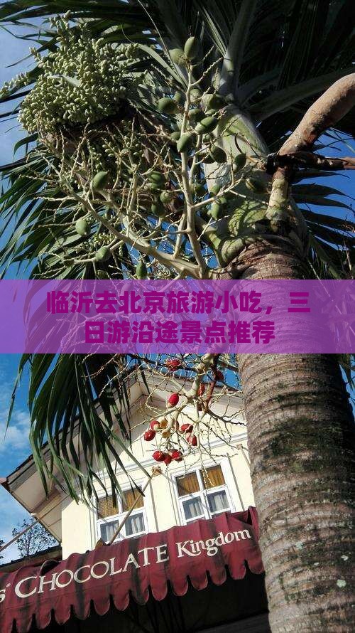 临沂去北京旅游小吃