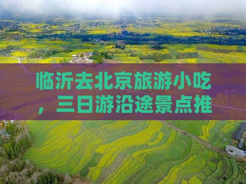 临沂去北京旅游小吃
