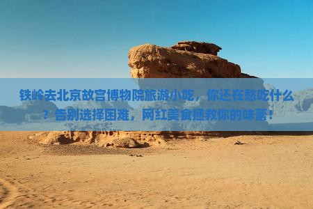 铁岭去北京故宫博物院旅游小吃 铁岭去北京故宫博物院旅游小吃