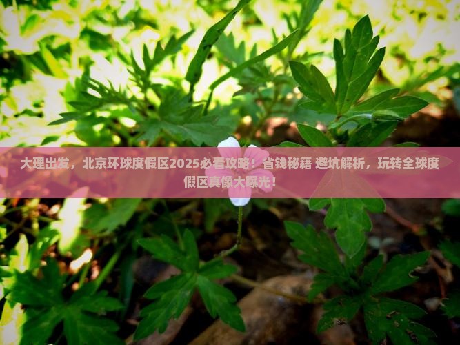 大理到北京环球度假区旅游