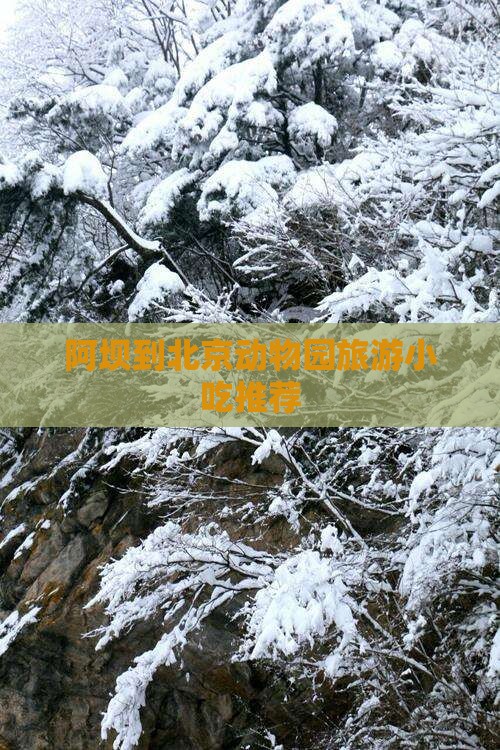 阿坝到北京动物园旅游小吃